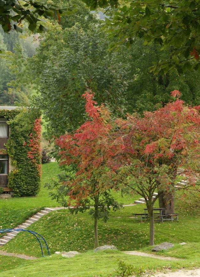 Talblick Appartement In Traumhafter Lage! Ober-Hambach Luaran gambar